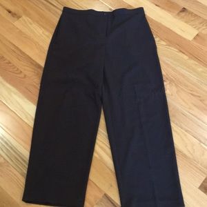 Briggs NY Brown Career Pants Size 14 Regular NWOT